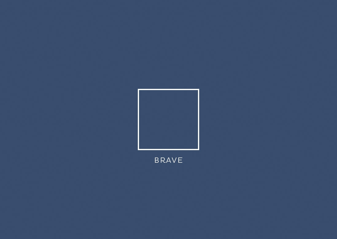 Perfectly Partnered paint; Brave